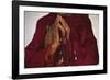 Contemplation-Basil Pao-Framed Giclee Print