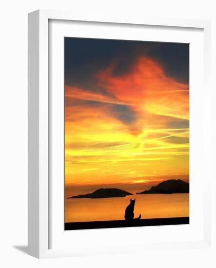 Contemplation-Jon Bertelli-Framed Photographic Print