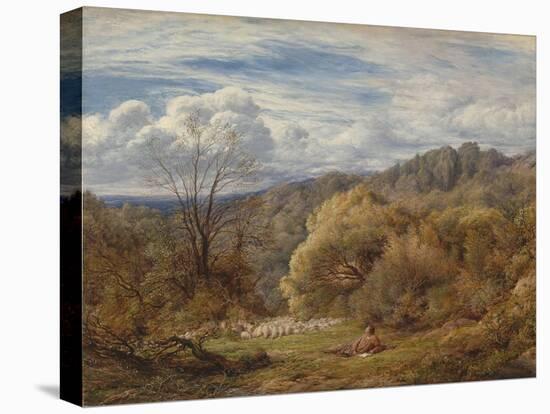 Contemplation-John Linnell-Stretched Canvas