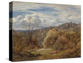 Contemplation-John Linnell-Stretched Canvas
