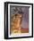 Contemplation-Simon Cook-Framed Giclee Print