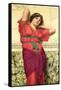 Contemplation-John William Godward-Framed Stretched Canvas