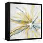 Contempo Daisy-Taylor Greene-Framed Stretched Canvas