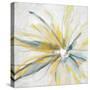 Contempo Daisy-Taylor Greene-Stretched Canvas