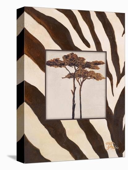 Contemporary Africa I-Patricia Pinto-Stretched Canvas