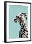 Contemporary Dalmation-Patricia Pinto-Framed Art Print