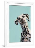 Contemporary Dalmation-Patricia Pinto-Framed Art Print