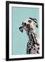 Contemporary Dalmation-Patricia Pinto-Framed Art Print