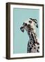 Contemporary Dalmation-Patricia Pinto-Framed Art Print