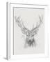 Contemporary Elk Sketch I-null-Framed Art Print