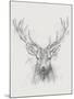 Contemporary Elk Sketch I-null-Mounted Art Print