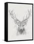 Contemporary Elk Sketch I-null-Framed Stretched Canvas