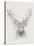 Contemporary Elk Sketch I-null-Stretched Canvas