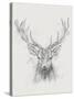 Contemporary Elk Sketch I-null-Stretched Canvas