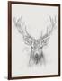 Contemporary Elk Sketch I-null-Framed Art Print