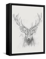 Contemporary Elk Sketch I-null-Framed Stretched Canvas