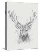 Contemporary Elk Sketch I-null-Stretched Canvas