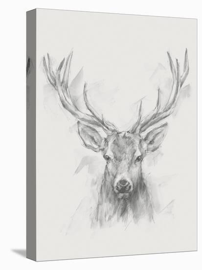 Contemporary Elk Sketch I-null-Stretched Canvas