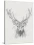 Contemporary Elk Sketch I-null-Stretched Canvas