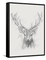 Contemporary Elk Sketch I-null-Framed Stretched Canvas