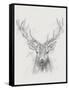 Contemporary Elk Sketch I-null-Framed Stretched Canvas