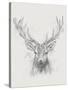 Contemporary Elk Sketch I-null-Stretched Canvas