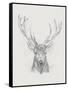 Contemporary Elk Sketch II-null-Framed Stretched Canvas