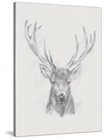 Contemporary Elk Sketch II-null-Stretched Canvas