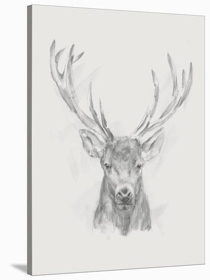 Contemporary Elk Sketch II-null-Stretched Canvas