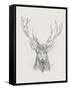 Contemporary Elk Sketch II-null-Framed Stretched Canvas