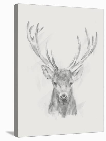 Contemporary Elk Sketch II-null-Stretched Canvas