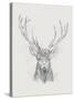 Contemporary Elk Sketch II-null-Stretched Canvas