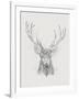 Contemporary Elk Sketch II-null-Framed Art Print