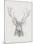 Contemporary Elk Sketch II-null-Mounted Art Print