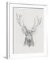 Contemporary Elk Sketch II-null-Framed Art Print