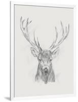 Contemporary Elk Sketch II-null-Framed Art Print