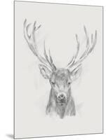Contemporary Elk Sketch II-null-Mounted Art Print