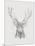 Contemporary Elk Sketch II-null-Mounted Art Print