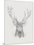 Contemporary Elk Sketch II-null-Mounted Art Print