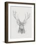 Contemporary Elk Sketch II-null-Framed Art Print