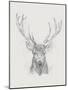 Contemporary Elk Sketch II-null-Mounted Art Print