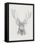 Contemporary Elk Sketch II-null-Framed Stretched Canvas