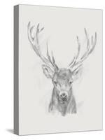 Contemporary Elk Sketch II-null-Stretched Canvas