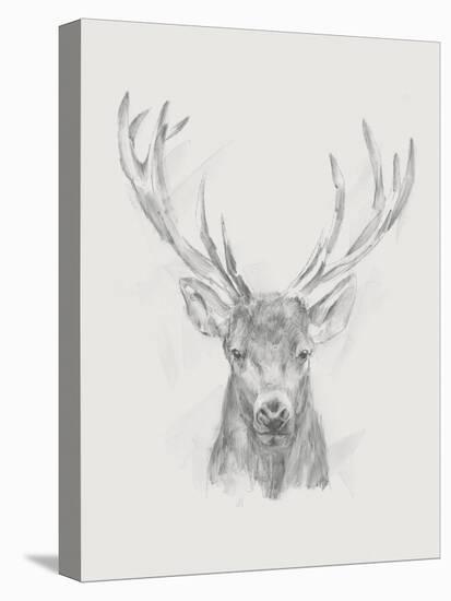 Contemporary Elk Sketch II-null-Stretched Canvas