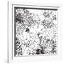 Contemporary Garden I Black and White-Michael Mullan-Framed Art Print