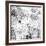 Contemporary Garden I Black and White-Michael Mullan-Framed Art Print