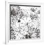 Contemporary Garden I Black and White-Michael Mullan-Framed Art Print