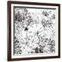 Contemporary Garden I Black and White-Michael Mullan-Framed Art Print