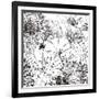 Contemporary Garden I Black and White-Michael Mullan-Framed Art Print