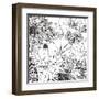 Contemporary Garden I Black and White-Michael Mullan-Framed Art Print